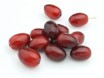 Similar image 254374