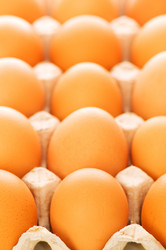 Similar image 254436