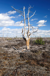 Similar image 254442