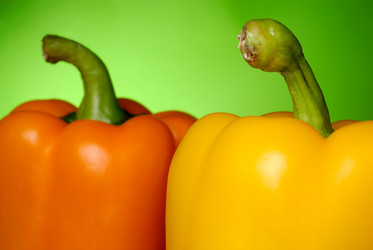 Similar image 254450