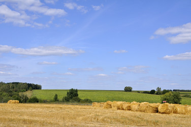 Similar image 254453