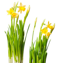 Similar image 254454