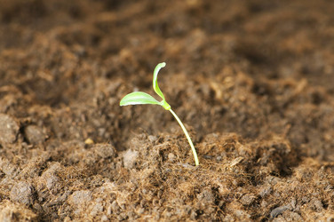 Similar image 254460