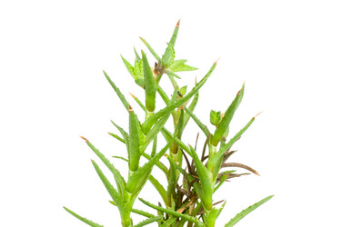 Similar image 254465