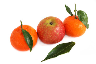 Similar image 254472