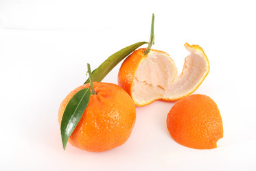 Similar image 254474