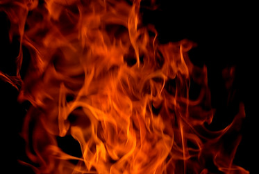 Similar image 254481