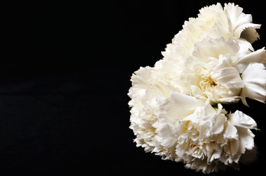 Similar image 254482