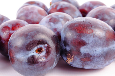 Similar image 254489