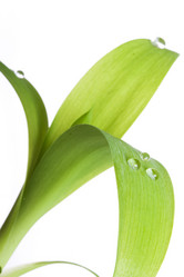 Similar image 254495