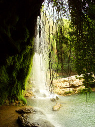 Similar image 254506