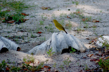 Similar image 254515