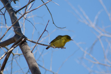 Similar image 254516