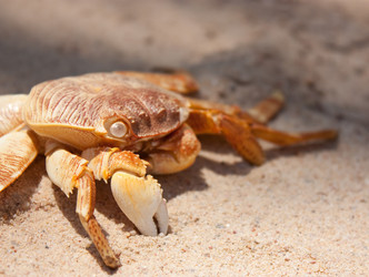 Similar image 254521