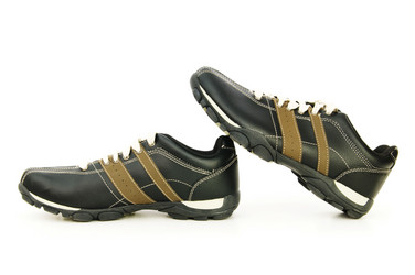 Similar image 254529