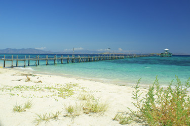 Similar image 254565