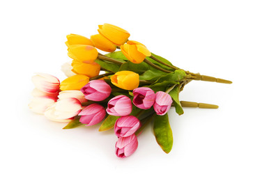 Similar image 254579