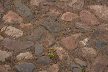 Similar image 254593