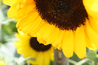 Similar image 254614