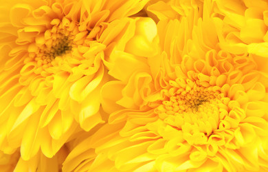 Similar image 254616