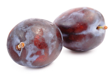 Similar image 254625