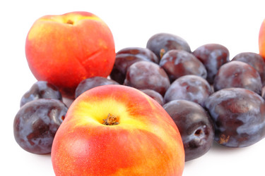 Similar image 254627