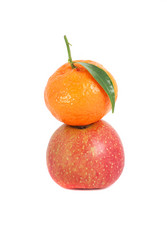 Similar image 254651