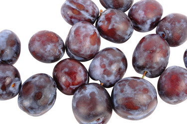 Similar image 254659