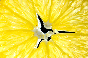 Similar image 254677