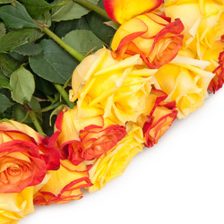 Similar image 254678