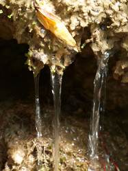 Similar image 254681