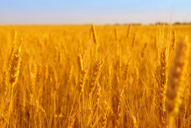 Similar image 254692