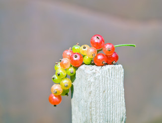 Similar image 254702