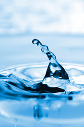 Similar image 254717