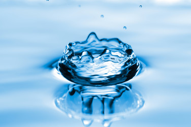 Similar image 254718