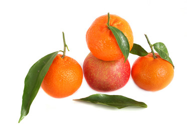 Similar image 254721