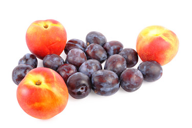 Similar image 254722