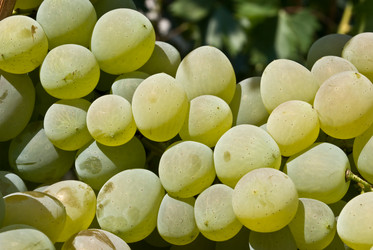 Similar image 254723