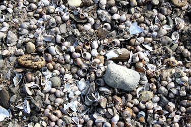 Similar image 254726