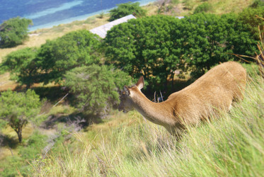 Similar image 254744