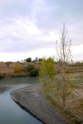 Similar image 254746