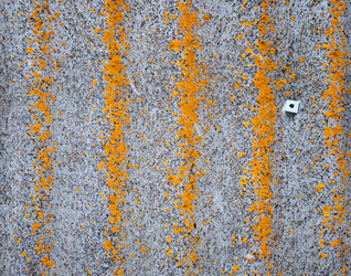 Similar image 254764