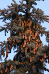 Similar image 254767