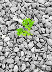 Similar image 254789