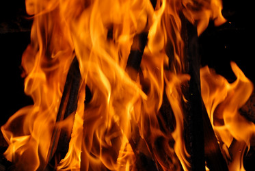 Similar image 254798