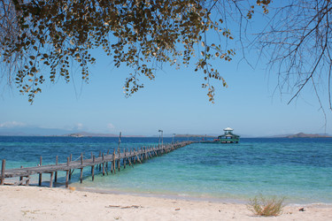 Similar image 254809