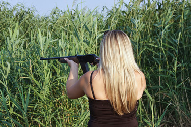 Similar image 254814