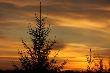 Similar image 254817