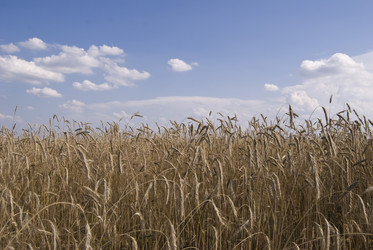 Similar image 254842