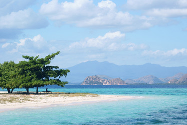 Similar image 254851